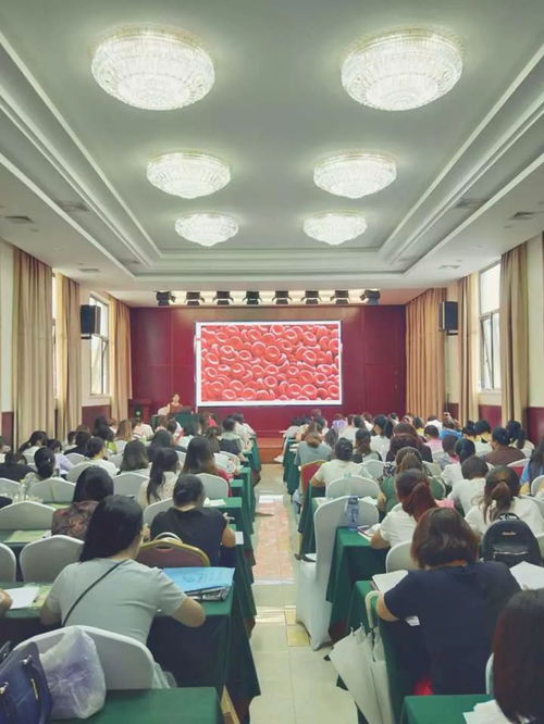 懷來職教中心保育員培訓(xùn)成果顯著 營利性民辦職業(yè)技能培訓(xùn)機(jī)構(gòu)展現(xiàn)社會(huì)價(jià)值